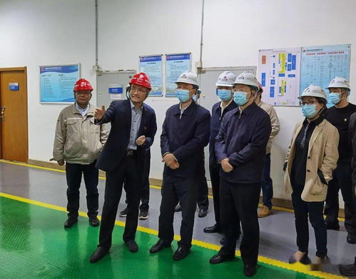 省人大常委會赴我區(qū)調(diào)研固體廢物污染治理工作